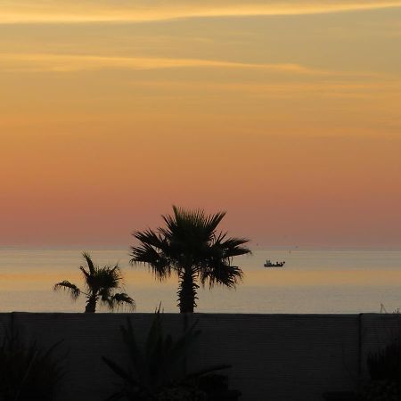 Ground Floor Studio With Access To Beach And Pool Le Barcarès Kültér fotó
